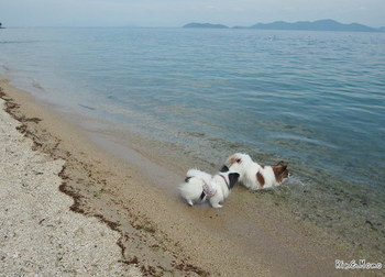 琵琶湖７.jpg